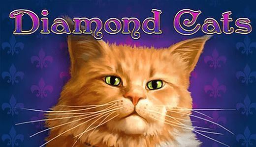Diamond Cats A M